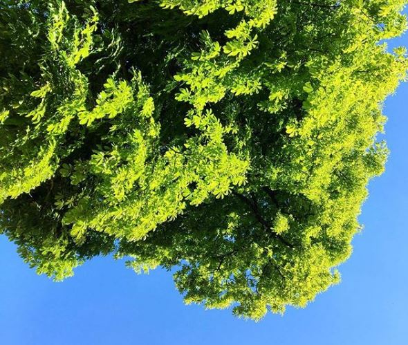La co-location, un choix responsable pour l'environnement